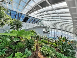The Fenchurch Building (The Walkie-Talkie)