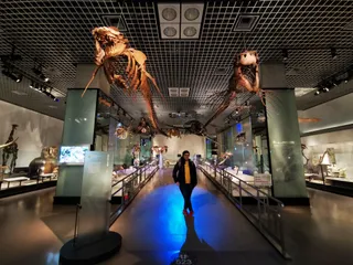 Narodowe Muzeum Przyrody i Nauki