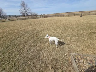 Winterset Dog Park