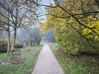 Botanični vrt Univerze v Ljubljani