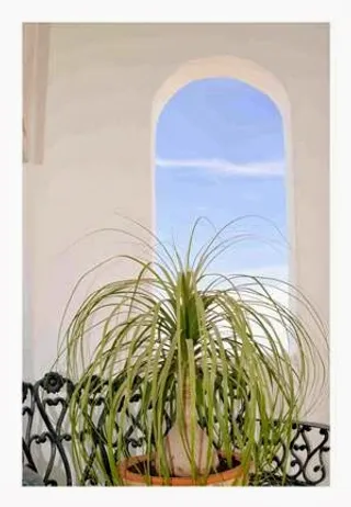 Hotel Mirador del Lago