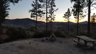 Coulter Group Campground