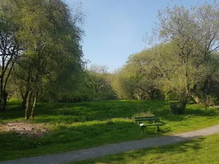 Clyne Valley Country Park