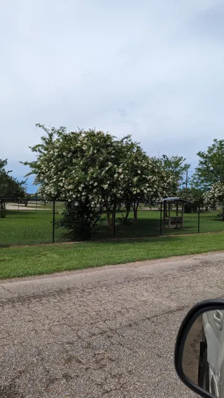 Vicksburg Dog Park