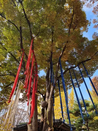 Korean Folk Village