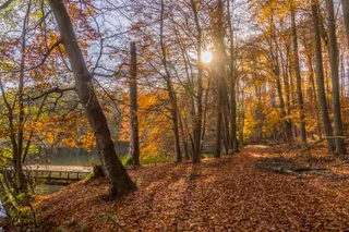 Lake Walk - Wanderweg