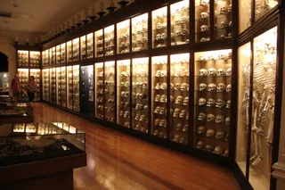 Museo Canario