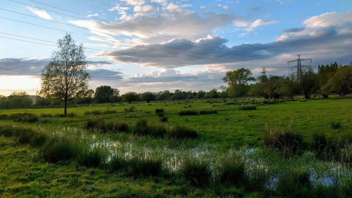 Alney Island Nature Reserve