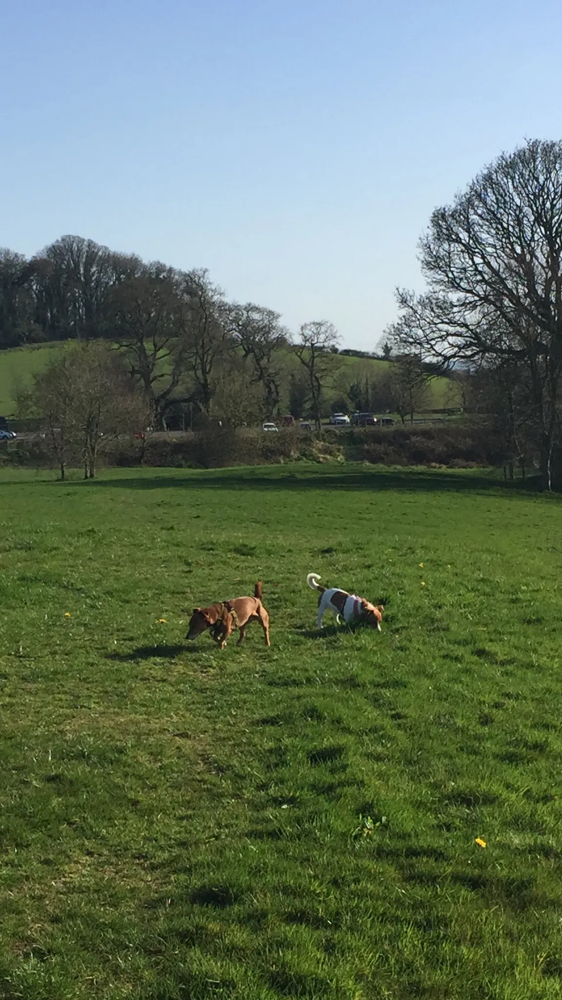 Delamont Country Park
