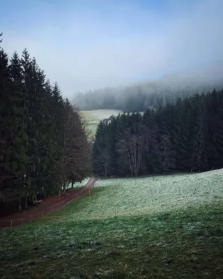 Erzenbach (Black Forest)