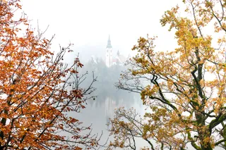 Bleder See