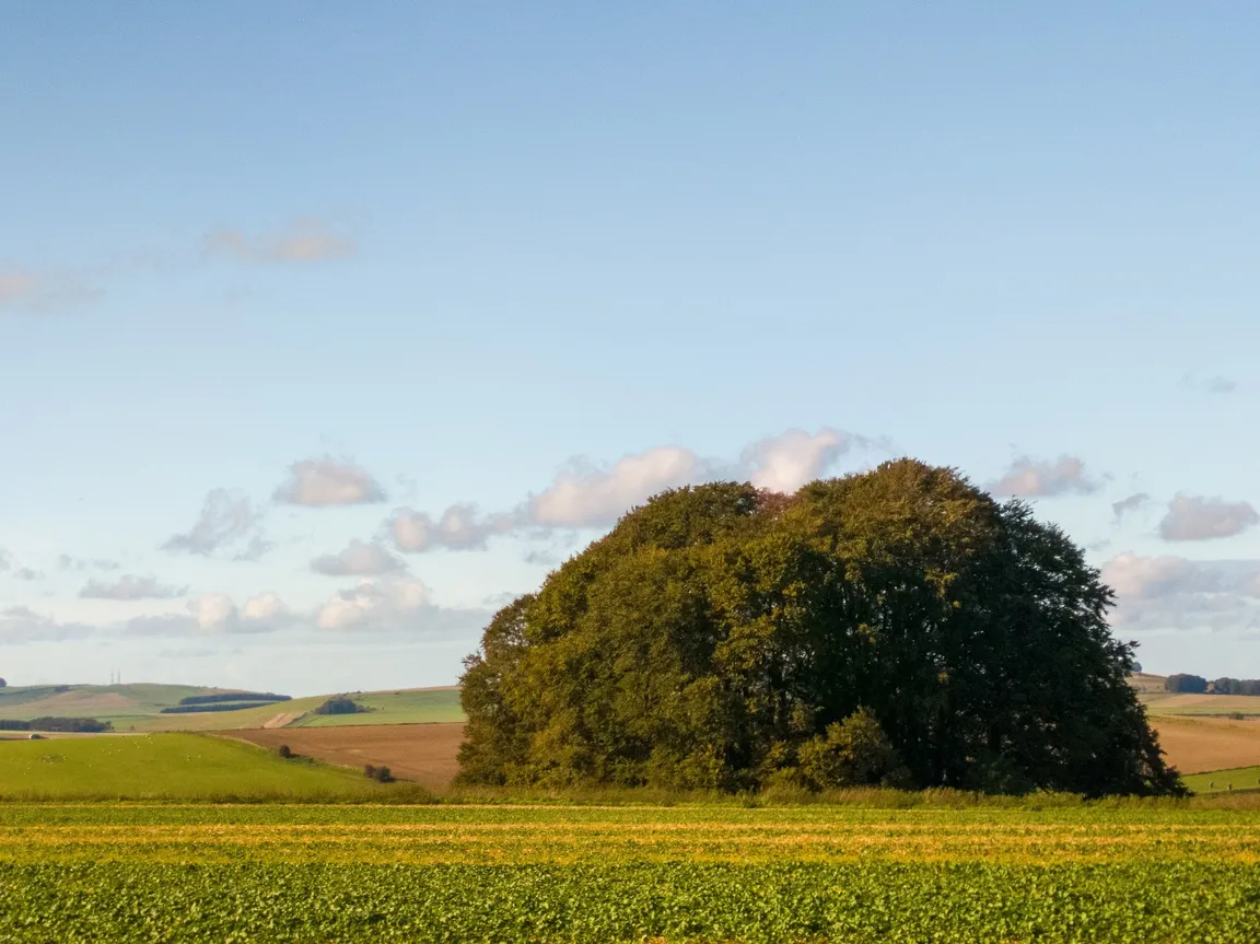 The Ridgeway National Trail