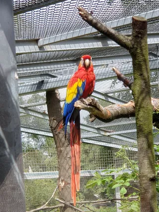 Solingen Bird and Animal Park