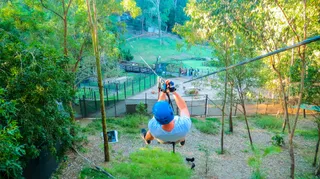 TreeTop Challenge Gold Coast Currumbin
