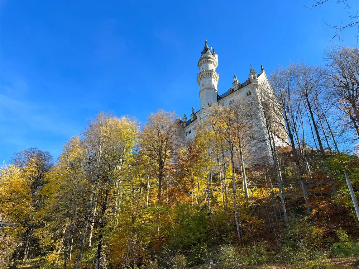 Road to the castle Neuschwanstein