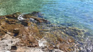 Plaža Knez
