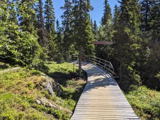 Åre bike park trail