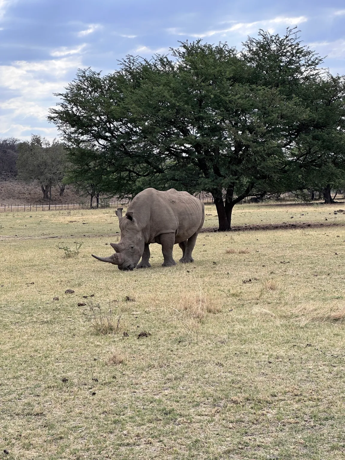 Ghaub Nature Reserve & Farm - ONE Namibia