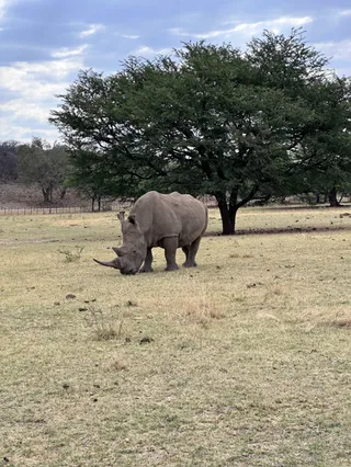 Ghaub Nature Reserve & Farm - ONE Namibia