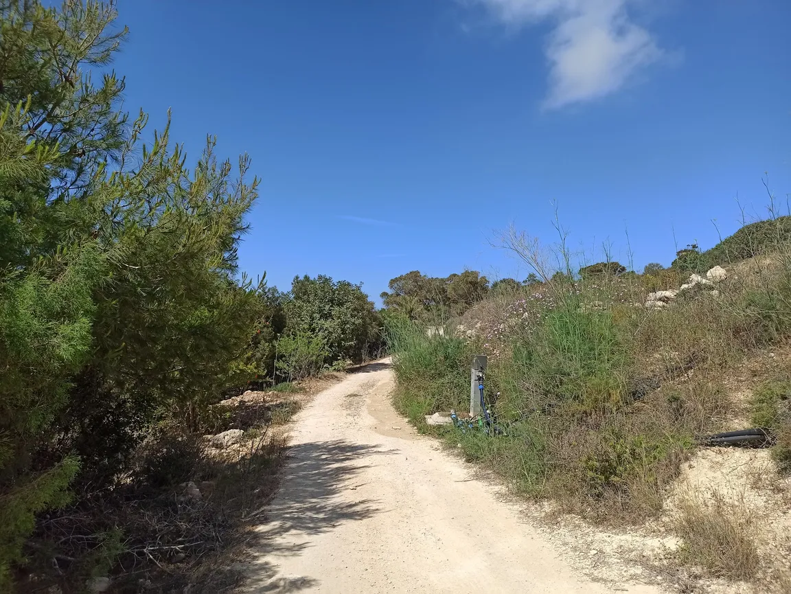 Foresta 2000 Nature Reserve