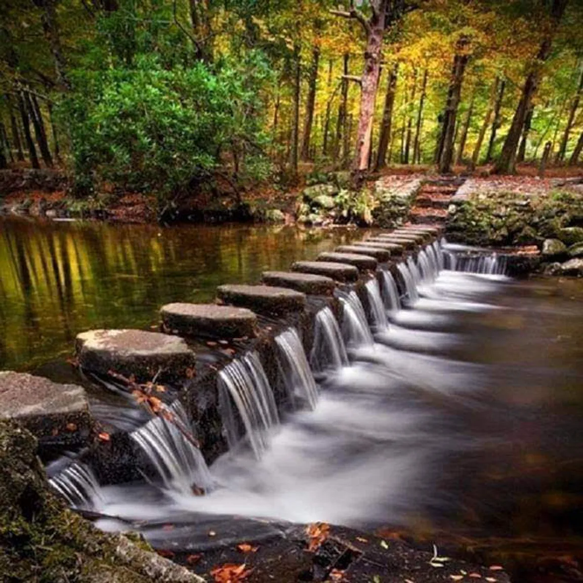 Tollymore Forest Park