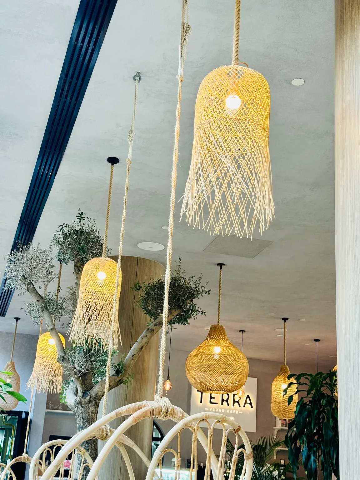 Planet Terra - Ibis World Trade Centre Dubai