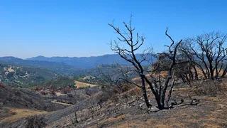 Viewridge Trail in the Santa Monica Mountains