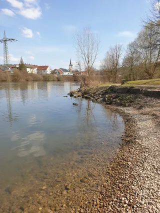 Uferwiesen 1