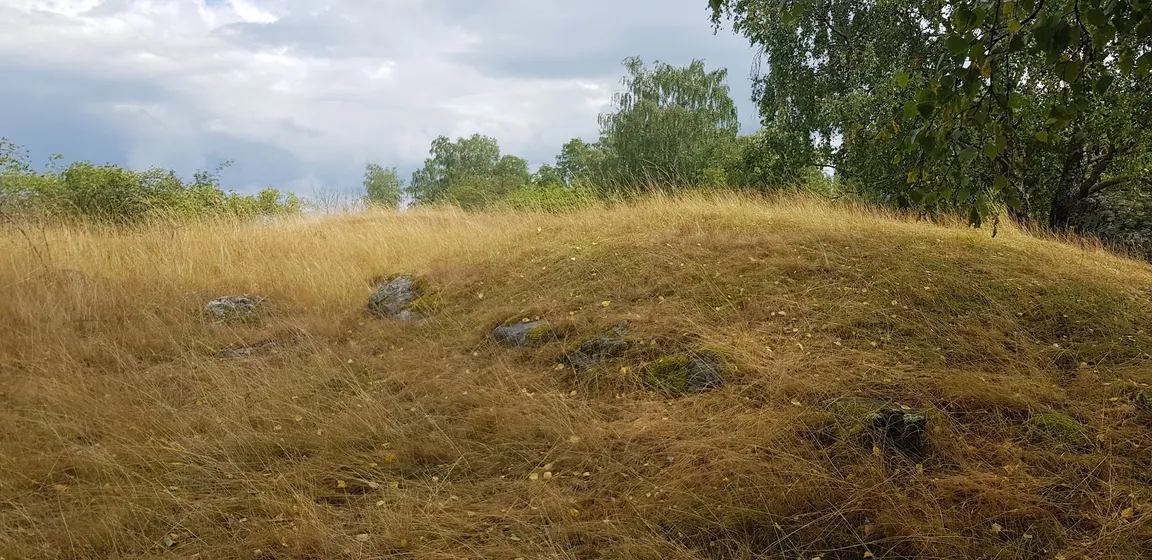 Björkö-Birka (Island in Lake Mälaren with remnants of the former trading town Birka)