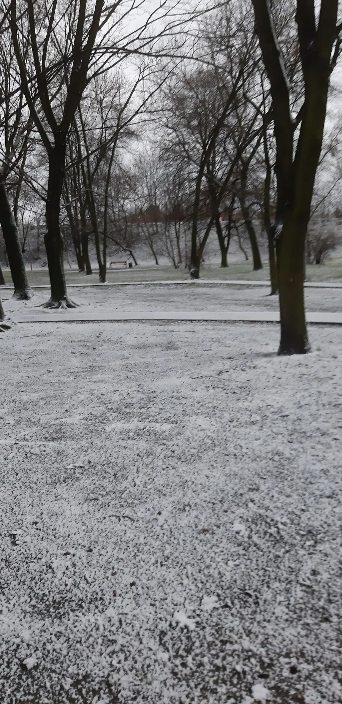 Bieszczadzki Park Linowy "KAMIKAZE