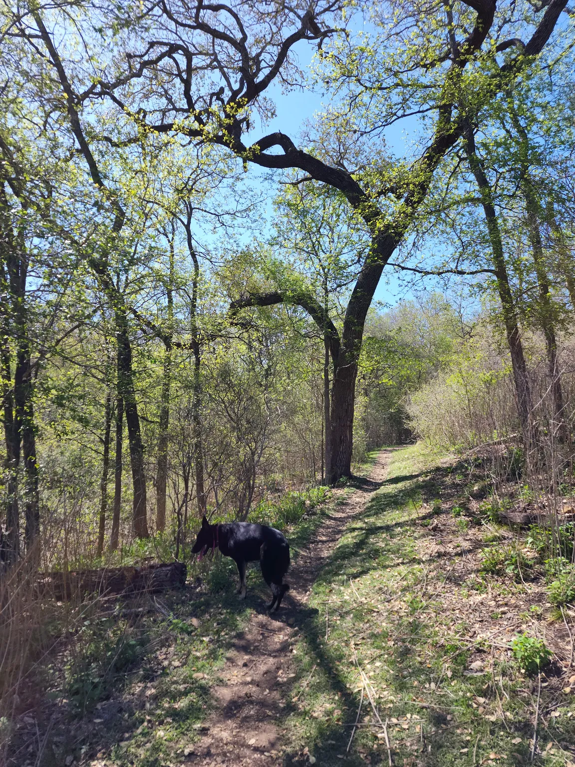 Lockhart State Park