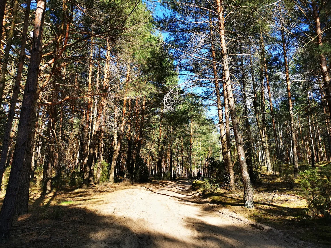 Biebrzański Park Narodowy