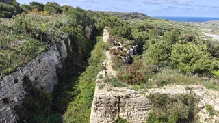 View point