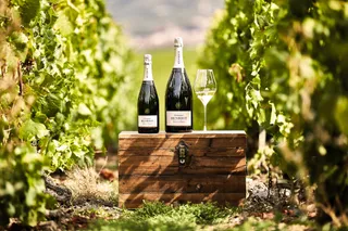 WINEBOX