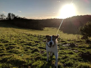Witcombe Valley