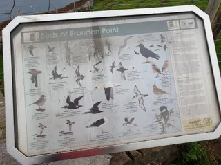 Brandon Point