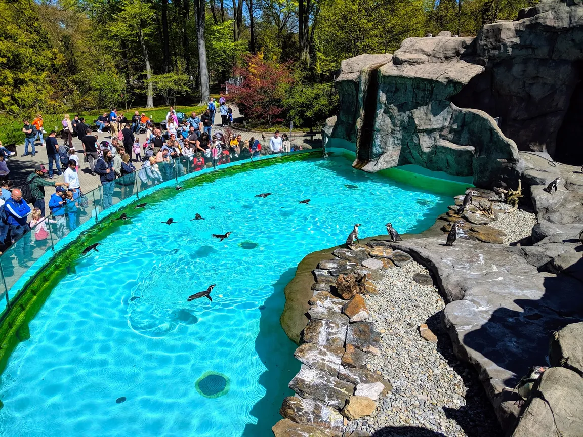 Ogród Zoologiczny w Krakowie