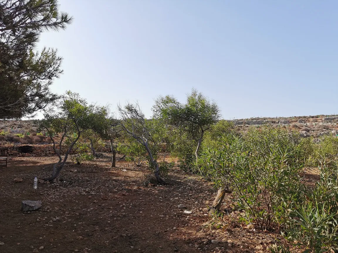 Camping Site - Tal Ful