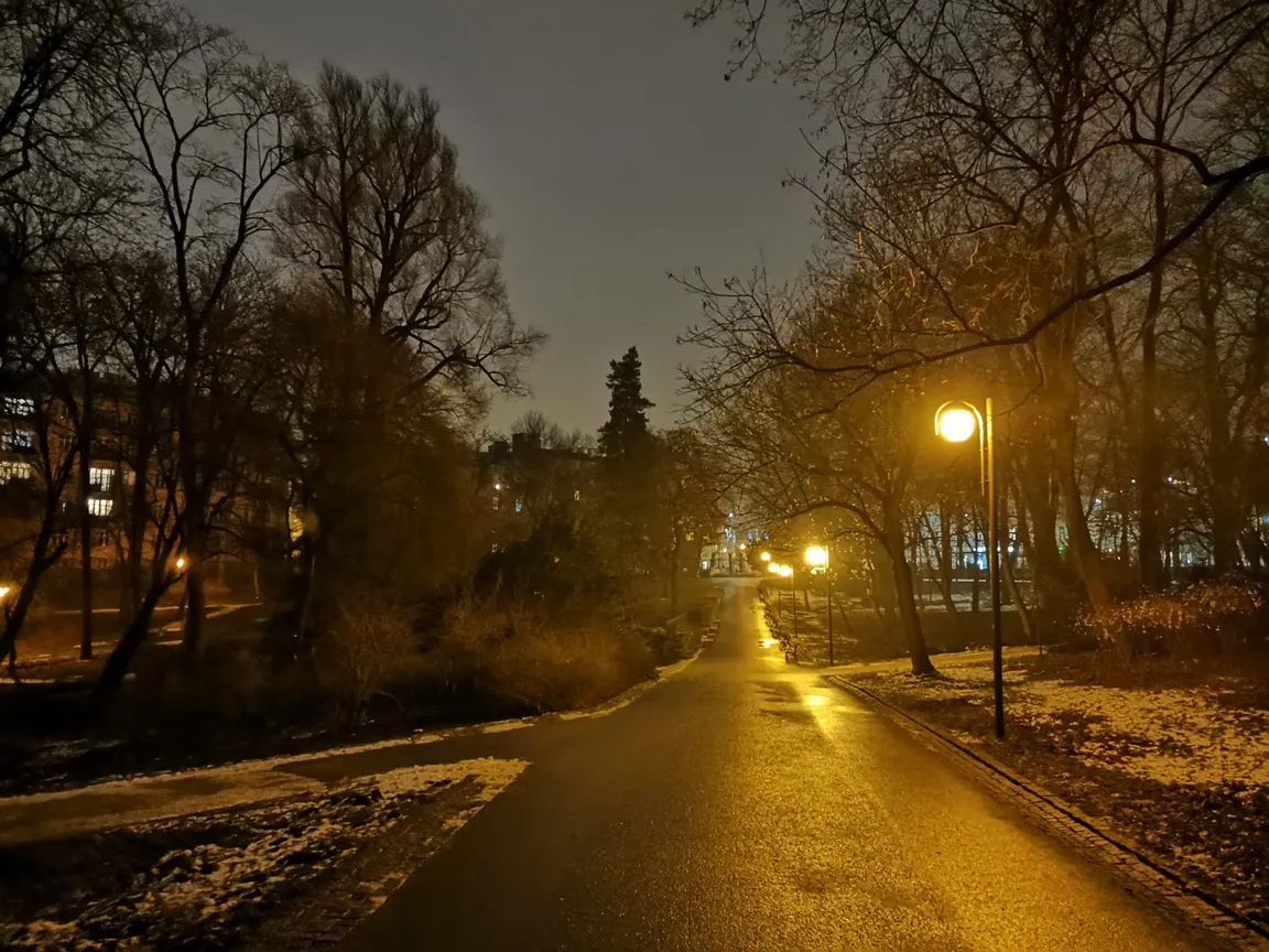 Ogród Saski