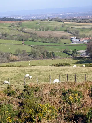 Garth Mountain - Panorama Walk