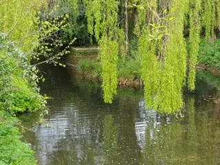 Roath Park