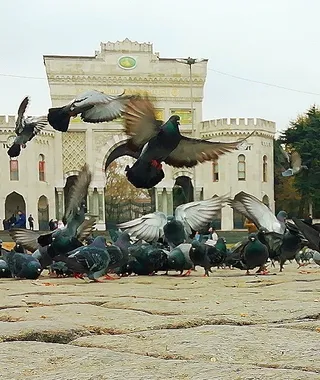 Plac Bajazyda