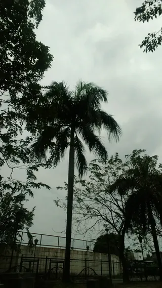 Pandacan Linear Park