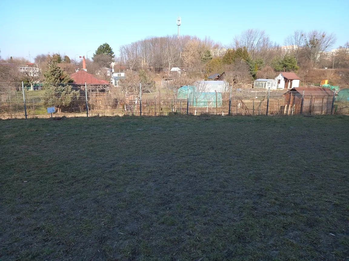 Wybieg dla psów