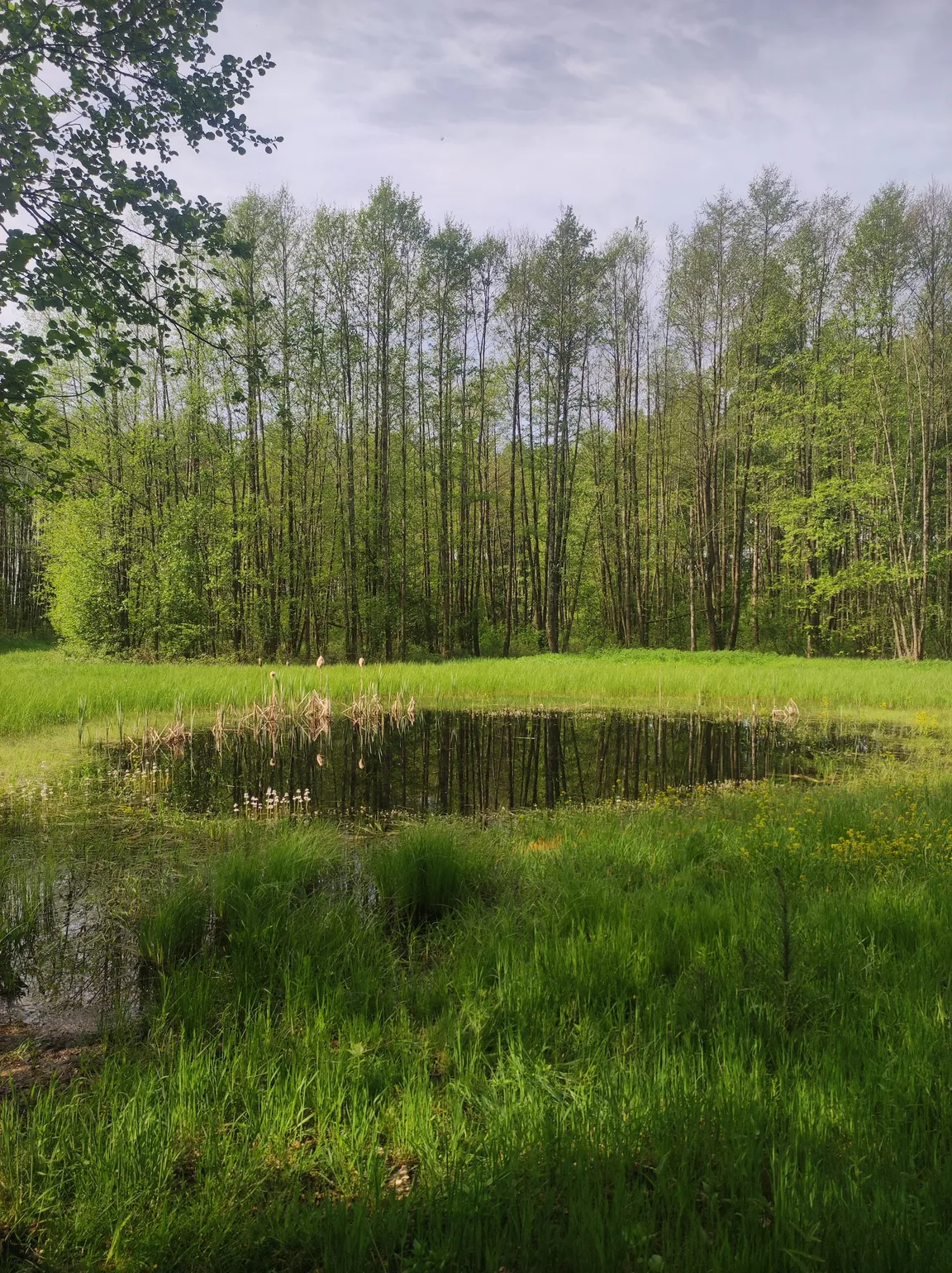 Ścieżka dydaktyczna „Czahary”