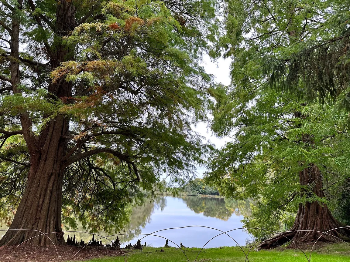 National Trust - Sheffield Park & Garden