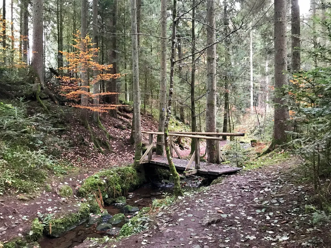 Rötelbachtal