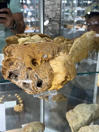 Muzeum Agatów w Rudnie