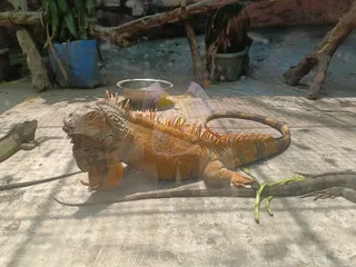 Malabon Zoo