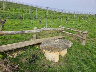 Elsheimer "Blume" - Selztal Terroir Route